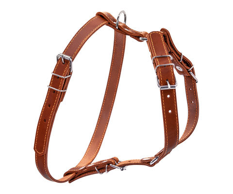 Шлея "collar" одинарна для дрібних і середніх собак (ширина 20мм, а: 40-56см, в: 57-65см), коричнева 06366